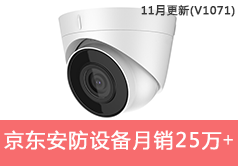 京东安防设备类目销售额从56285到256232